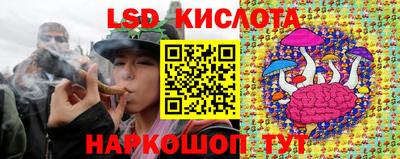 ешки Новозыбков