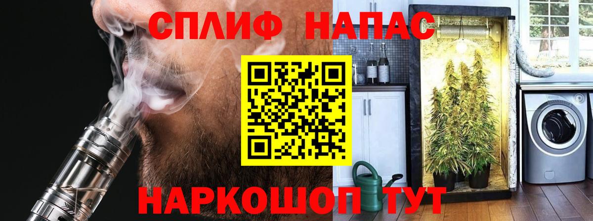 Конопля гибрид Пыть-Ях